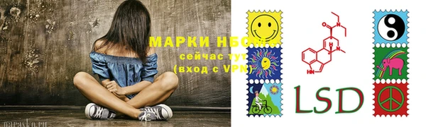 ПСИЛОЦИБИНОВЫЕ ГРИБЫ Балахна