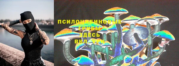 молекула духа Баксан