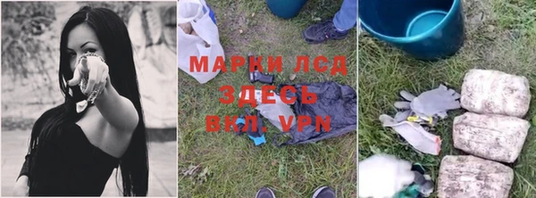 ПСИЛОЦИБИНОВЫЕ ГРИБЫ Балахна
