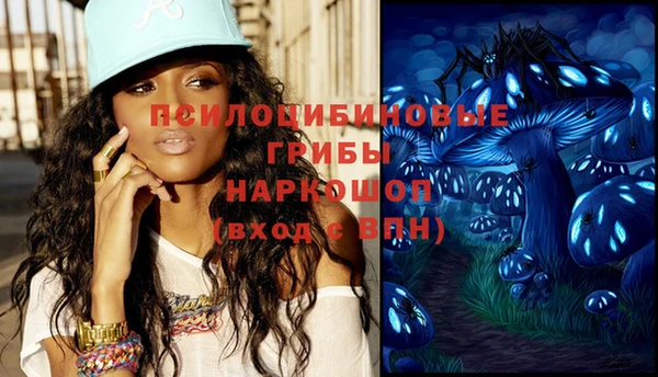 ПСИЛОЦИБИНОВЫЕ ГРИБЫ Балахна