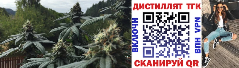 Купить где  Ахтубинск  ТГК Wax 